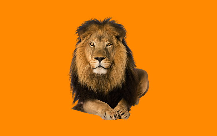 Quem paga o Carnê-Leão mensalmente deve ter cuidado na declaração anual